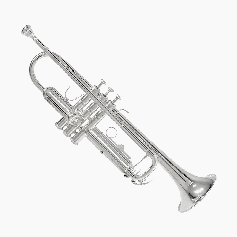 바하 TR650S Bb 트럼펫