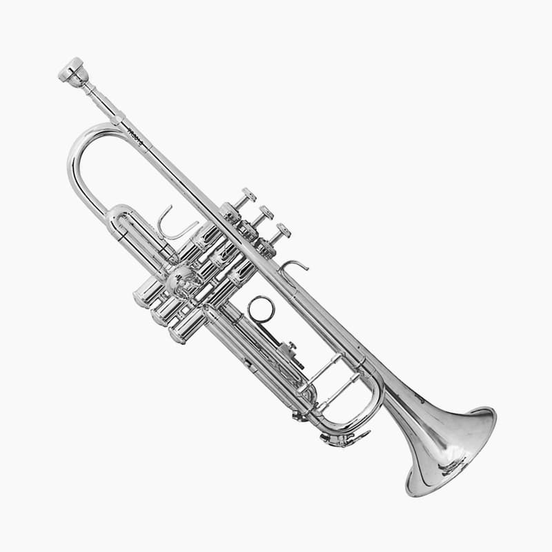 바하 TR501S Bb 트럼펫